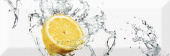Плитка FRESH LEMON ДЕКОР