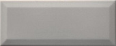 Плитка Lasselsberger Rako Concept Plus Grey WARGT110 Декор 250х100х7