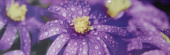 Плитка FLORA (4 ШТ. В КОМПЛ.) ПАННО