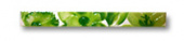Плитка URBAN FENIX VERDE ФРИЗ