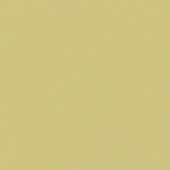 Плитка Rako Color One Ral 0908040 WAA19221 Стена
