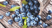 BLUEBERRY ДЕКОР