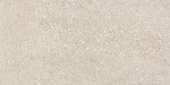 Плитка Lasselsberger Rako Stones Brown DARSE669 Стена-Пол 298Х598Х10