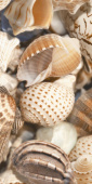 Плитка Golden Tile Sea Breeze Shells Бежевый Е1142 Декор 300х600