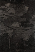 Плитка FIBER AMAPOLA NEGRO ДЕКОР