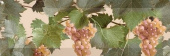 UVA MOSCATEL CREMA 1 ДЕКОР