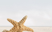 Плитка Golden Tile Summer Stone Holiday Бежевый В4133 Декор 250х400