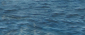 Плитка SEA CENTRO ДЕКОР