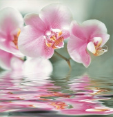 Плитка DECO FLOWERS 10 ORCHIEE BR (ИЗ 3-Х ШТ) ПАННО
