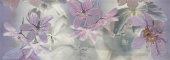 Плитка DECOR CREATION VIOLET FLOR 2 ДЕКОР