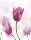 Плитка TULIPAN KOMPLET CENTRO (НАБОР ИЗ 3 ШТ)