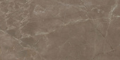 Плитка Stevol Pulpis Brown PD1621204P Пол