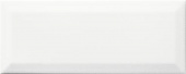 Плитка Lasselsberger Rako Concept Plus White WARGT104 Декор 250х100х7