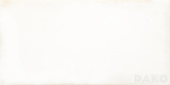 Плитка Lasselsberger Rako Retro White 20X40 Warmb520 Стена