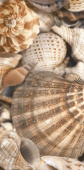 Плитка Golden Tile Sea Breeze Shells Бежевый Е1143 Декор 300х600
