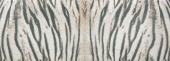 Плитка TIGER/R СТЕНА