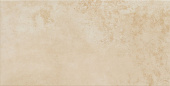 Плитка Ceramica Arte Neutral Brown 298Х598