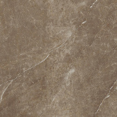 Плитка Marazzi Preview Brown Lux Rett M0GV Пол 580х580