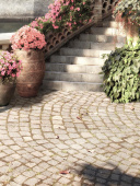 Плитка Golden Tile Troyanda Sorrento Mix 60Б36 Декор 250х330