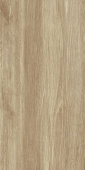 Плитка LIVERPOOL BEIGE 310X620 ПОЛ