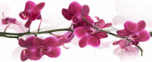 Плитка ORCHIS CENTRO ДЕКОР