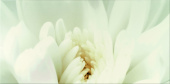 Плитка DIAGO INSERTO FLOWER C ДЕКОР