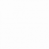 Плитка Polcolorit Universal Bianco Пол 450Х450