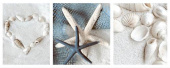 Плитка FLASH SEA SHELLS ДЕКОР