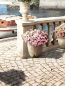 Плитка Golden Tile Troyanda Sorrento Mix 60Б34 Декор 250х330