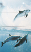 Плитка DOLFIN KOMPLET 4 CENTRO (НАБОР ИЗ 4 ШТ)