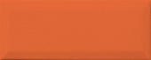Плитка Lasselsberger Rako Concept Plus Orange WARGT001 Декор 250х100х7