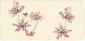 Плитка VINTAGE CAPRICCIO III IVORY ДЕКОР