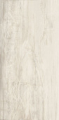 Плитка PETRIFIED TREE WHITE LION CORE 938D0P РЕКТИФ ПОЛ