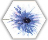 Плитка TOSCANA ACUARELAS 029 СТЕНА/ПОЛ