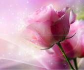 Плитка ARCO ROZE ПАННО ИЗ 2 ШТ