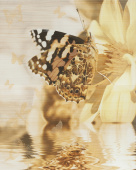 Плитка MIRANDA BUTTERFLY ДЕКОР