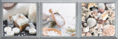 Плитка Super Ceramica Rev Decor Viena Bath 200Х600