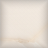 ELYSIAN BEIGE СТЕНА