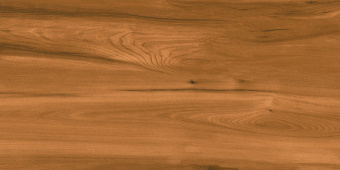 Плитка Benison Farida  Mat 600х1200 Пол