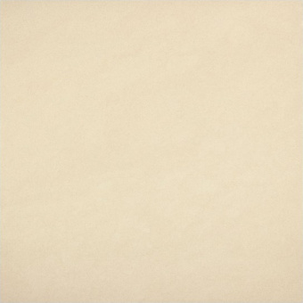 Плитка CONCEPT CN 02  REKTYFIKOWANA POLER ПОЛ