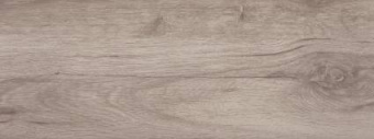 Плитка Argenta Forest Gris Пол 225Х600