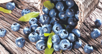 Плитка BLUEBERRY ДЕКОР