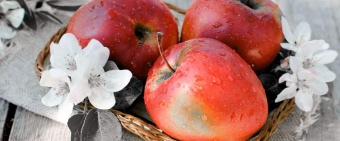 Плитка NEO GEO 6 ДЕКОР