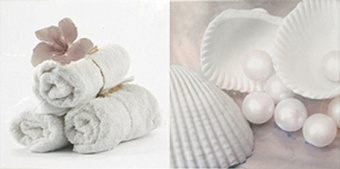 Плитка BLANCO BATH I ДЕКОР