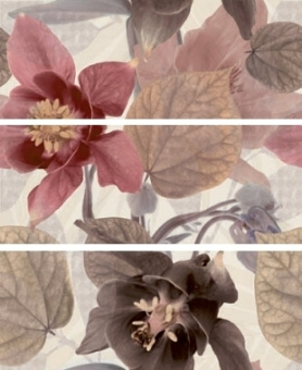 Плитка MARINA FLORAL 3 C ДЕКОР
