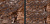 Плитка Lucky Tile Ross Opera Пол 800х800