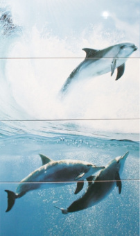 Плитка DOLFIN KOMPLET 4 CENTRO (НАБОР ИЗ 4 ШТ)
