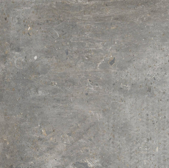 Плитка Azulindus&Marti Charlotte Gris Стена-Пол 250Х250