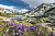 Плитка CROCUSES СТЕКЛЯННОЕ ПАННО (ИЗ 2 ШТ) 8 ММ