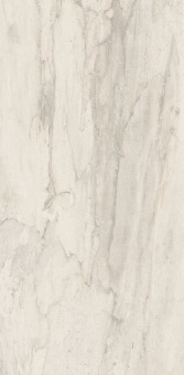 Плитка PETRIFIED TREE WHITE BARK 944D0R РЕКТИФ ПОЛ